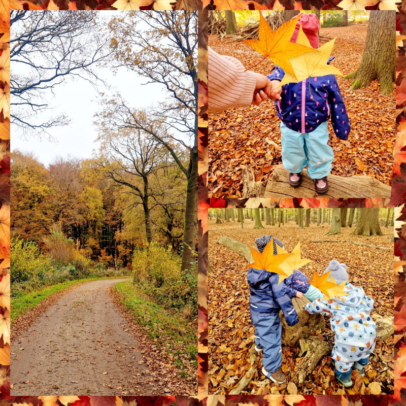 Ausflug in den Forst Endern Ausflug in den Forst Endern